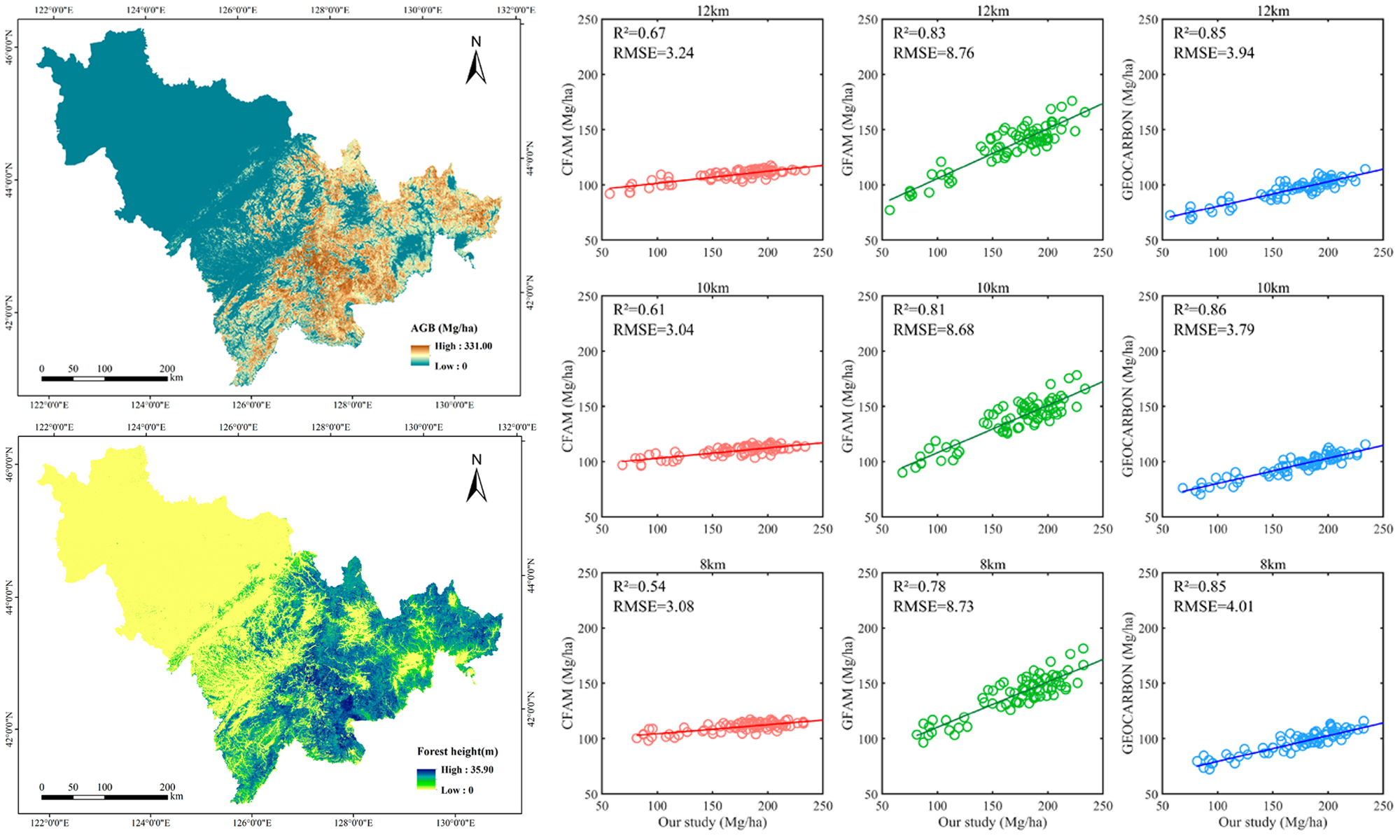 forest research overview